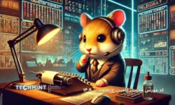 کد مورس همستر کامبت ۱۷ فروردین ۱۴۰۴